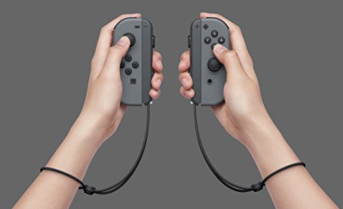 Nintendo Switch - Gray Joy-Con 5